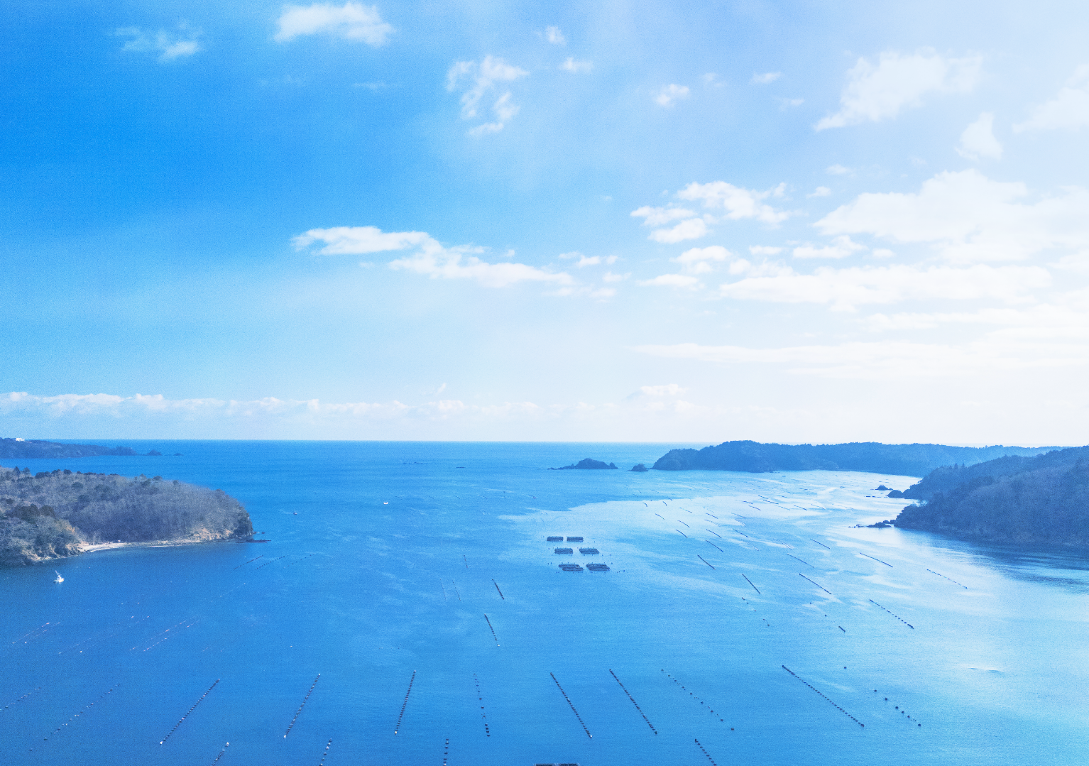 海